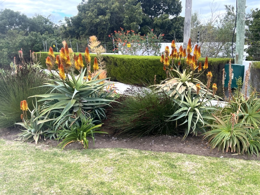 1 Bedroom Property for Sale in Keurboomstrand Western Cape
